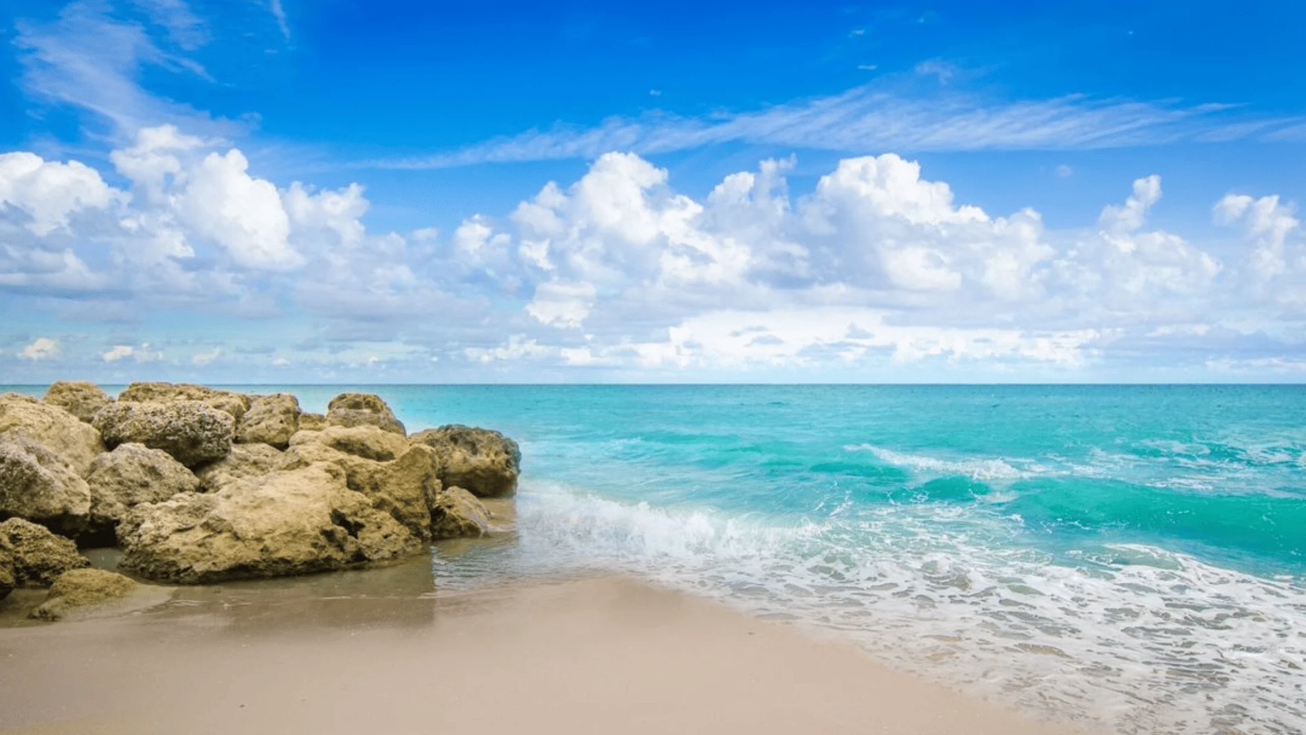 A serene view of a sandy beach in Palm Beach, Florida